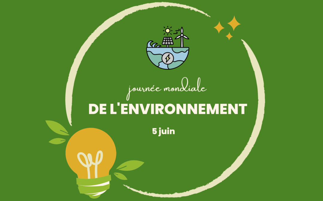 Journée de l'Environnement ensemble pour un avenir durable Oxium group